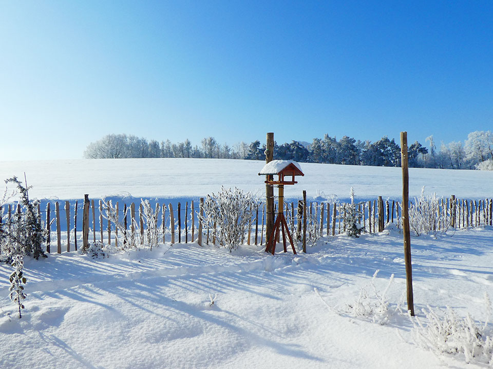 Stiltreu Staketenzaun englisch mit Vogelhaus im Schnee